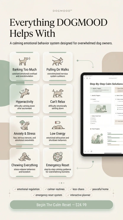 The DogMood Method™: From Overwhelm to Absolute Calm
