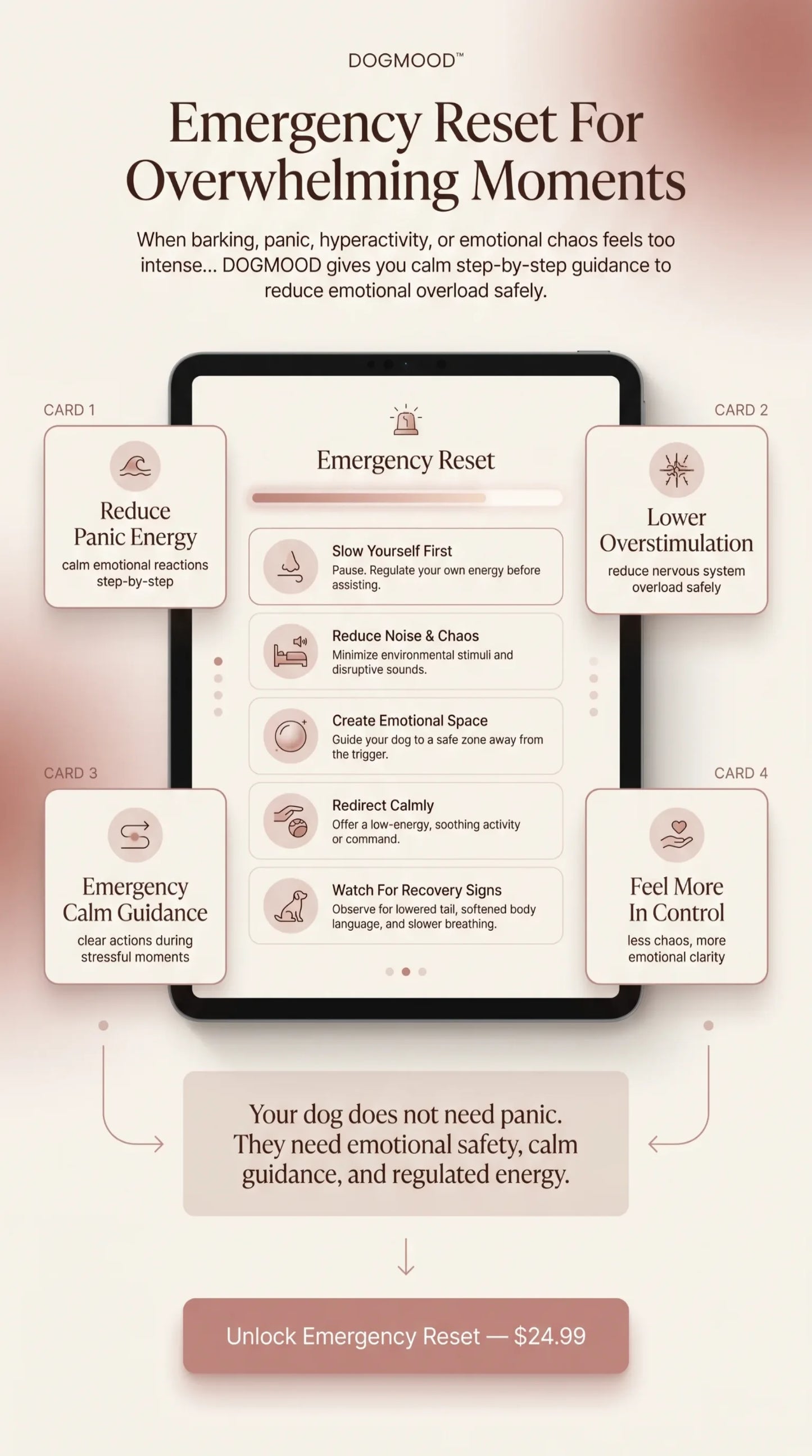 The DogMood Method™: From Overwhelm to Absolute Calm