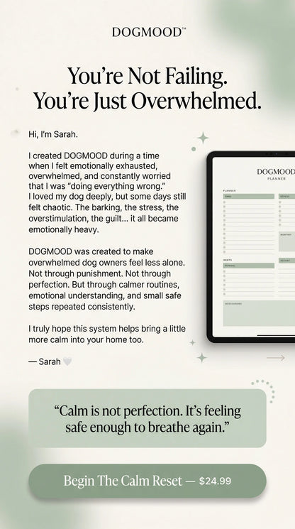 The DogMood Method™: From Overwhelm to Absolute Calm
